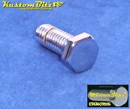 Chrome Bolt Mirror Topz - Hex Head UNC 3/8 x 1 inch long