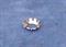 Countersunk Star washers Polished Stainless Steel - M6 lock washer